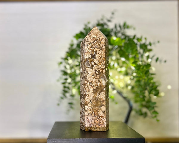 Amber Chocolate Calcite