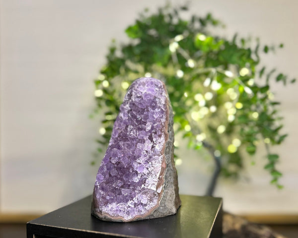 Amethyst Crystal Cluster #C090 | Collection Quality Amethyst - Lucid Willow - Crystal