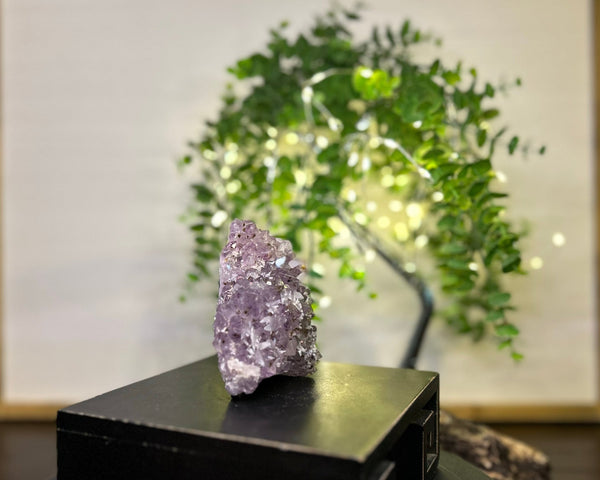 Amethyst x Calcite x Rutile Cluster Crystal #C088 | Collection Quality Amethyst - Lucid Willow - Crystal