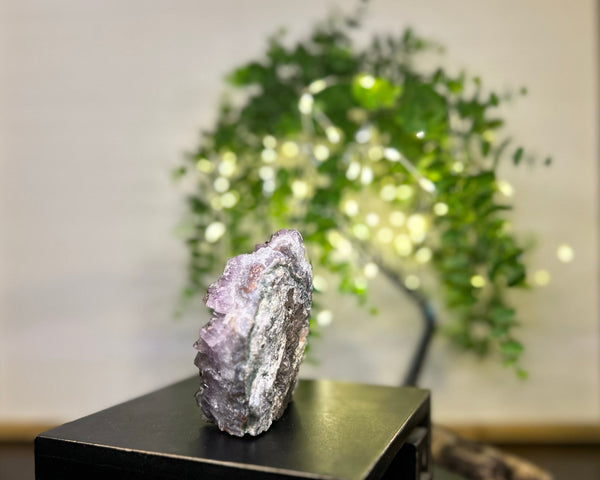 Amethyst x Calcite x Rutile Cluster Crystal #C088 | Collection Quality Amethyst - Lucid Willow - Crystal