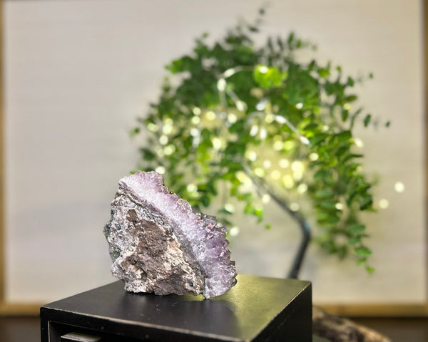 Amethyst x Calcite x Rutile Cluster Crystal #C088 | Collection Quality Amethyst - Lucid Willow - Crystal