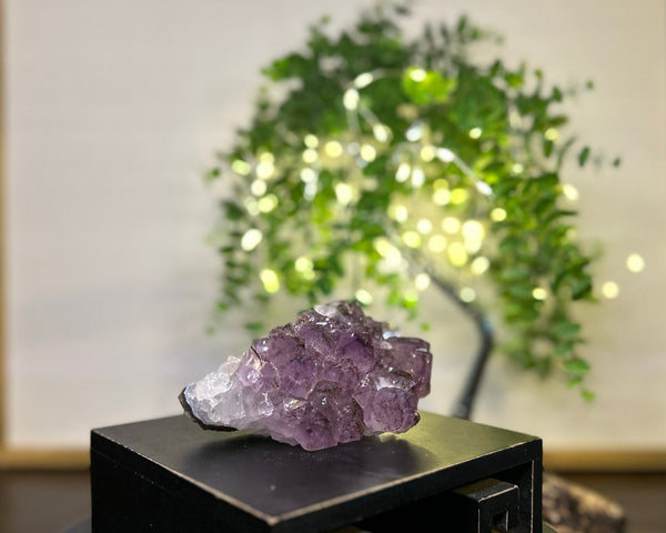 Amethyst x Rutile Cluster Crystal #C093 | Collection Quality Amethyst - Lucid Willow - Crystal