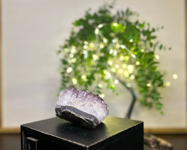 Amethyst x Rutile Cluster Crystal #C093 | Collection Quality Amethyst - Lucid Willow - Crystal