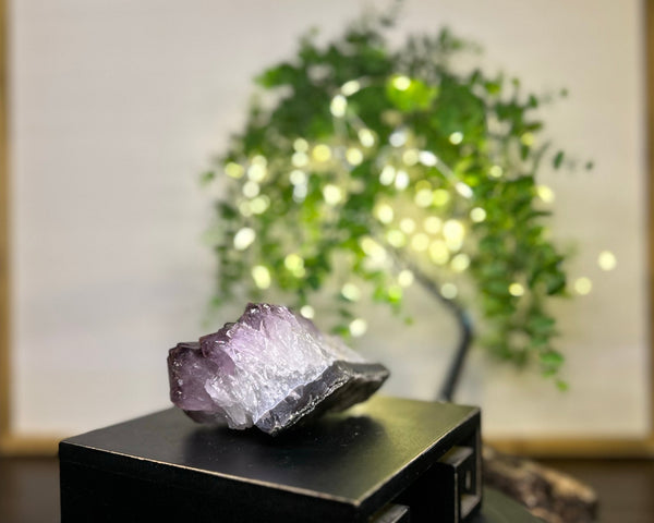 Amethyst x Rutile Cluster Crystal #C093 | Collection Quality Amethyst - Lucid Willow - Crystal