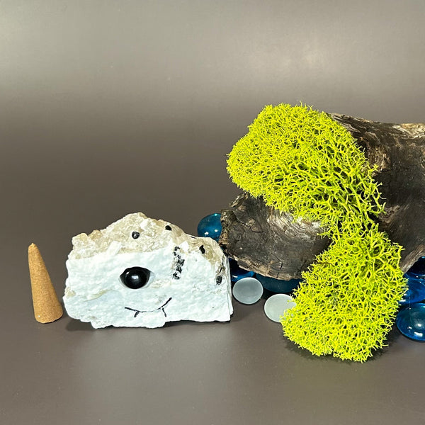 Crystal Buddy (Sullivan aka: Sully) | Black Tourmaline|Albite - Lucid Willow - Crystal Buddy