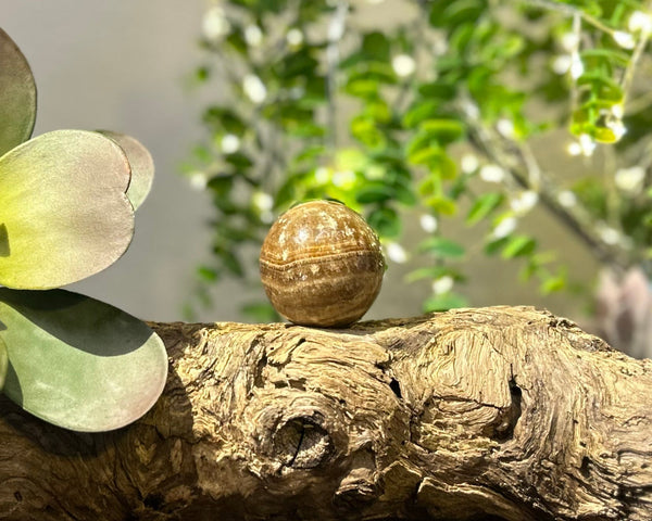 Chocolate Calcite 42mm Sphere #S001 - Lucid Willow - Crystal