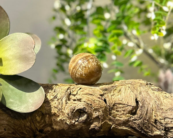 Chocolate Calcite 42mm Sphere #S001 - Lucid Willow - Crystal