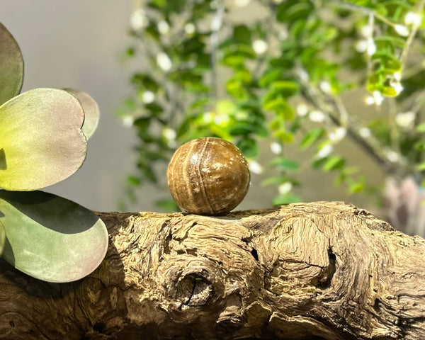 Chocolate Calcite 42mm Sphere #S001 - Lucid Willow - Crystal