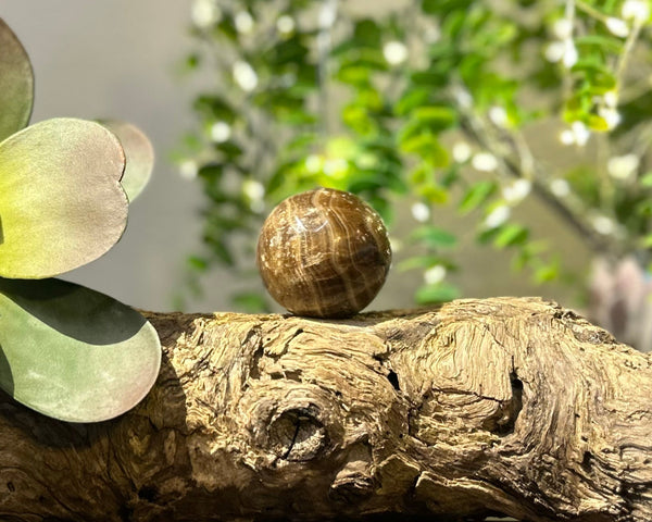 Chocolate Calcite 45mm Sphere #S002 - Lucid Willow - Crystal