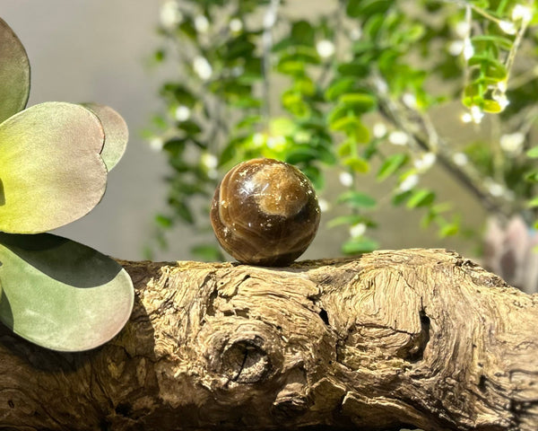 Chocolate Calcite 45mm Sphere #S002 - Lucid Willow - Crystal