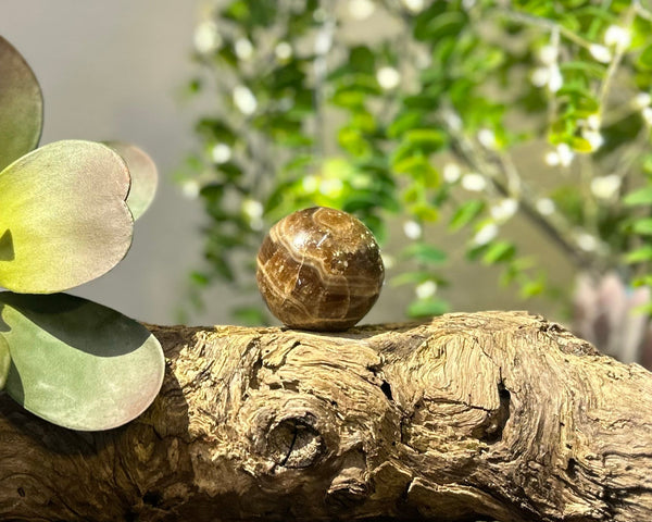 Chocolate Calcite 45mm Sphere #S002 - Lucid Willow - Crystal
