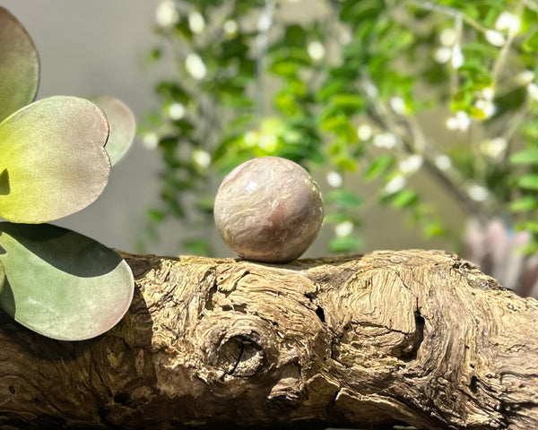 Fancy Jasper Crystal Sphere #S009 | 45mm Diameter - Lucid Willow - Crystal