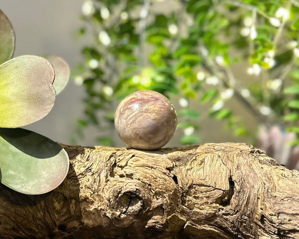 Fancy Jasper Crystal Sphere #S009 | 45mm Diameter - Lucid Willow - Crystal