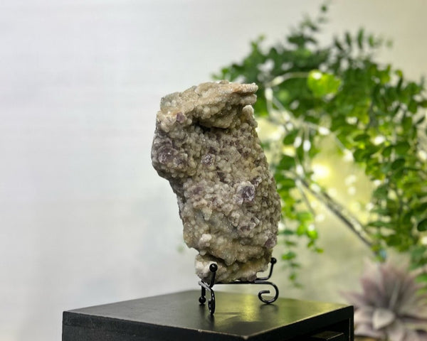 Fluorite x Calcite x Druzy Quartz #C095 - Lucid Willow - Crystal