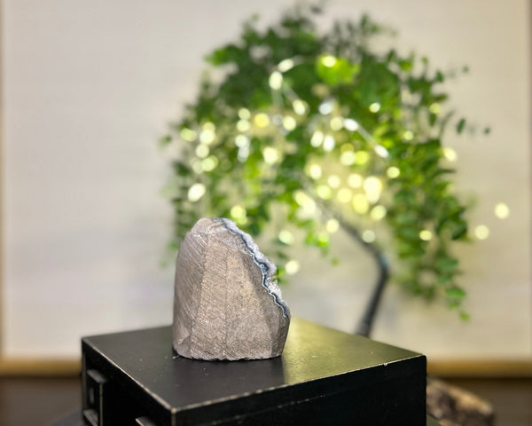 Grey Amethyst Cluster Crystal #C094 | Collection Quality Amethyst - Lucid Willow - Crystal