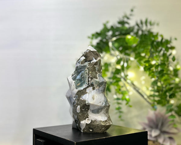 Ocean Jasper Flame #C099 - Lucid Willow - Crystal