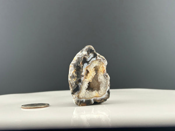 Oco Agate Geode #C105 - Lucid Willow - Crystal