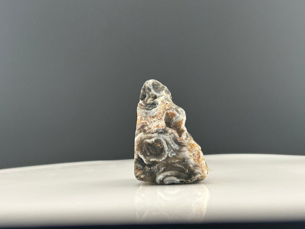Oco Agate Geode #C105 - Lucid Willow - Crystal