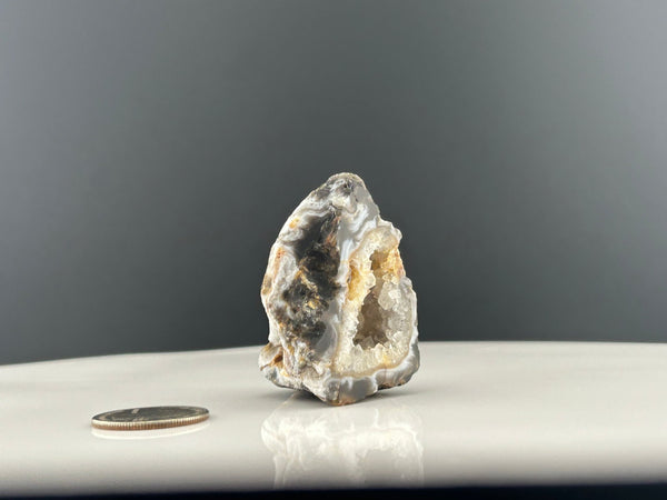 Oco Agate Geode #C105 - Lucid Willow - Crystal