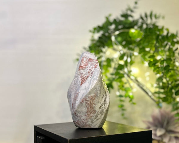 Pastel Ocean Jasper Spiral #C098 - Lucid Willow - Crystal