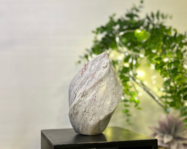 Pastel Ocean Jasper Spiral #C098 - Lucid Willow - Crystal