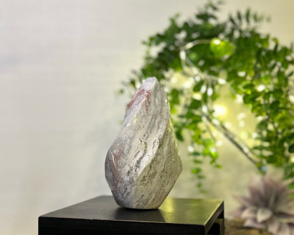 Pastel Ocean Jasper Spiral #C098 - Lucid Willow - Crystal