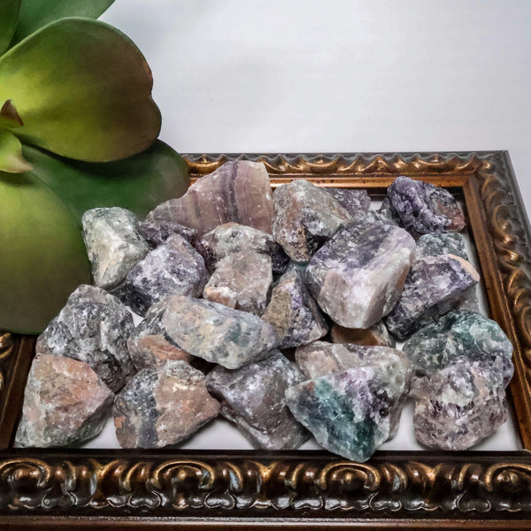 Rainbow Fluorite Raw Stones (0.5 - 2.0" Avg) #C113 - Lucid Willow - Crystal