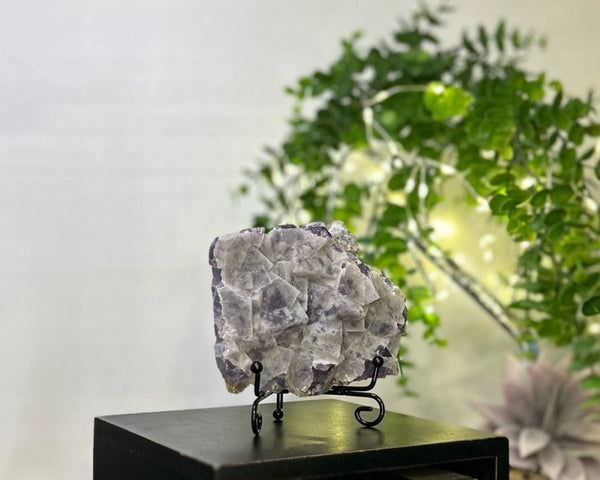 Sugar Fluorite #C086 - Lucid Willow - Crystal