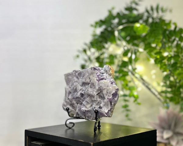 Sugar Fluorite #C086 - Lucid Willow - Crystal
