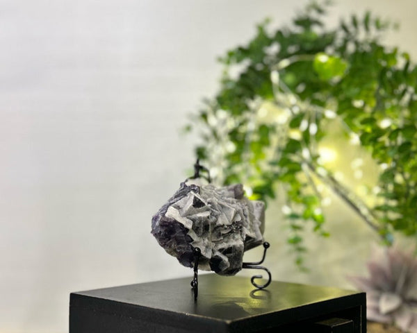 Sugar Fluorite #C096 - Lucid Willow - Crystal