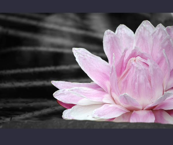 The Spirituality Boom: Why We're All Seeking More (and How You Can Too!)