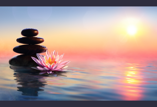 Bloom With Kindness: How Meditation Nurtures Self-Compassion and Self-Love