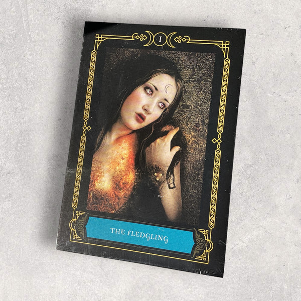 Wisdom of the House of Night - The Fledgling card