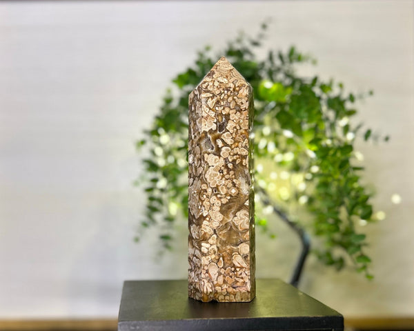 Amber/Chocolate Calcite Tower #T001 (Approx 8" tall x 3.5" wide) - Lucid Willow - Crystal