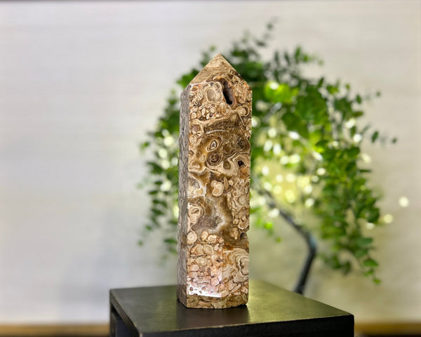 Energy Grounding Stone