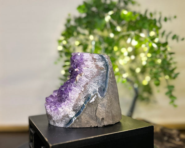 Amethyst Crystal Cluster #C089 | Collection Quality Amethyst - Lucid Willow - Crystal