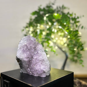 Light Purple Amethyst Cluster