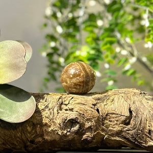 Chocolate Calcite 42mm Sphere #S001 - Lucid Willow - Crystal