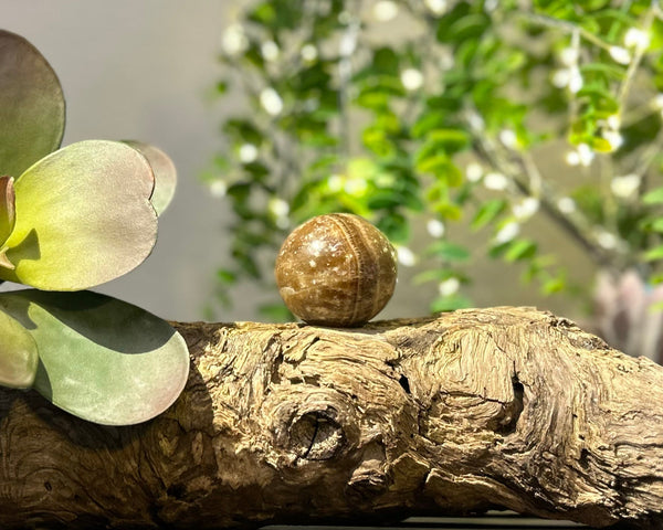 Chocolate Calcite 42mm Sphere #S001 - Lucid Willow - Crystal