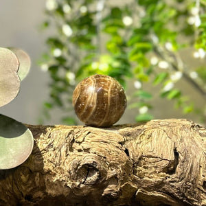 Chocolate Calcite 45mm Sphere #S002 - Lucid Willow - Crystal