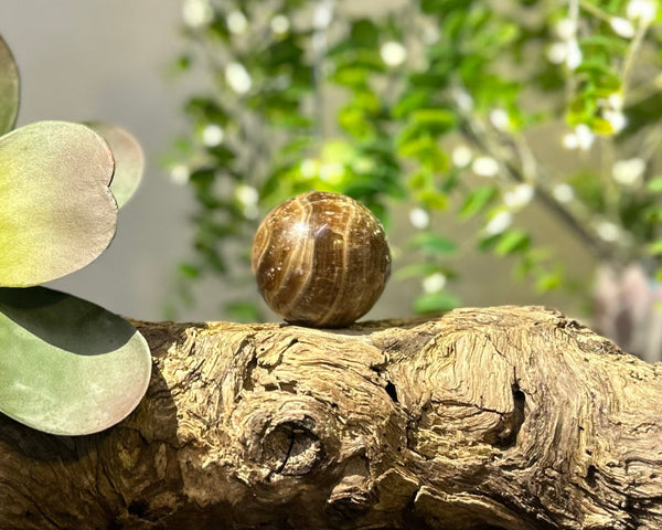 Chocolate Calcite 45mm Sphere #S002 - Lucid Willow - Crystal