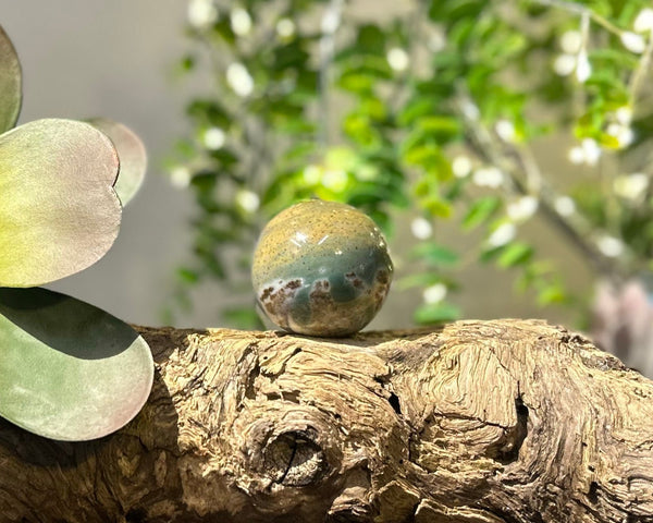 Fancy Jasper Crystal Sphere #S006 | 45mm Diameter - Lucid Willow - Crystal