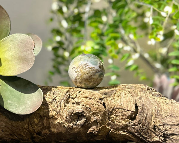 Fancy Jasper Crystal Sphere #S006 | 45mm Diameter - Lucid Willow - Crystal