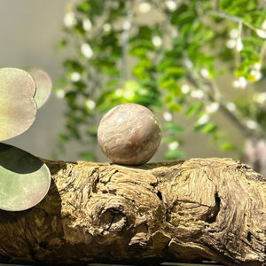 Fancy Jasper Crystal Sphere #S009 | 45mm Diameter - Lucid Willow - Crystal