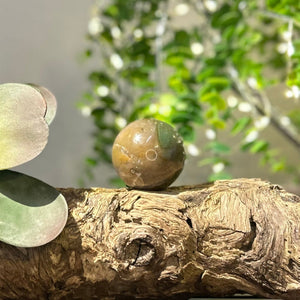 Fancy Jasper Crystal Sphere #S007 | 47mm Diameter - Lucid Willow - Crystal