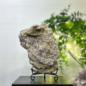 Fluorite x Calcite x Druzy Quartz #C095 - Lucid Willow - Crystal