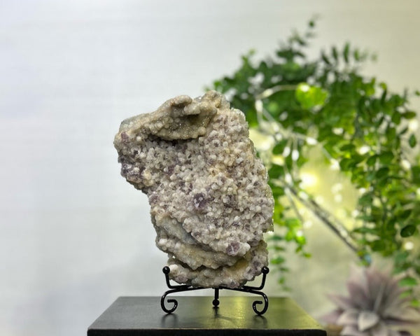 Fluorite x Calcite x Druzy Quartz #C095 - Lucid Willow - Crystal