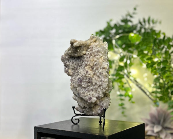 Fluorite x Calcite x Druzy Quartz #C095 - Lucid Willow - Crystal