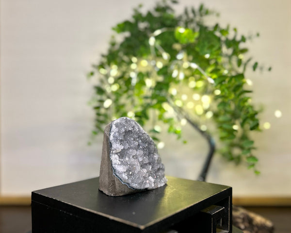 Grey Amethyst Cluster Crystal #C094 | Collection Quality Amethyst - Lucid Willow - Crystal