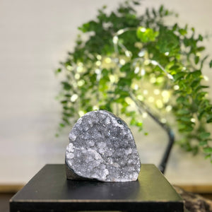 Grey Amethyst Cluster Crystal #C094 | Collection Quality Amethyst - Lucid Willow - Crystal